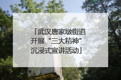 武汉唐家墩街道开展“三大精神”沉浸式宣讲活动