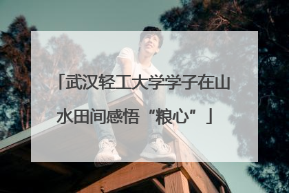 武汉轻工大学学子在山水田间感悟“粮心”