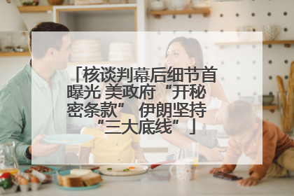 核谈判幕后细节首曝光 美政府“开秘密条款” 伊朗坚持“三大底线”