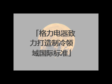 格力电器致力打造制冷领域国际标准