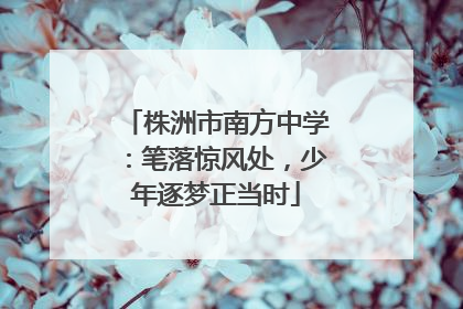 株洲市南方中学：笔落惊风处，少年逐梦正当时