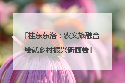 桂东东洛：农文旅融合绘就乡村振兴新画卷