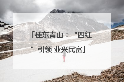 桂东青山：“四红”引领 业兴民富