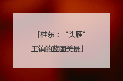 桂东：“头雁”王镇的蓝图美景