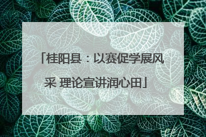 桂阳县：以赛促学展风采 理论宣讲润心田