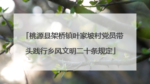 桃源县架桥镇叶家坡村党员带头践行乡风文明二十条规定