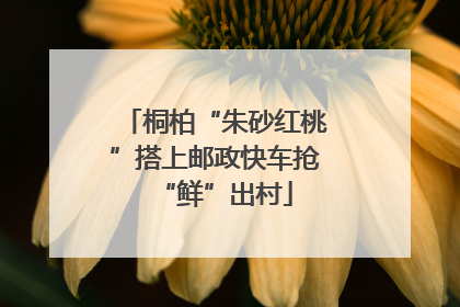 桐柏“朱砂红桃”搭上邮政快车抢“鲜”出村