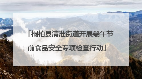 桐柏县清淮街道开展端午节前食品安全专项检查行动