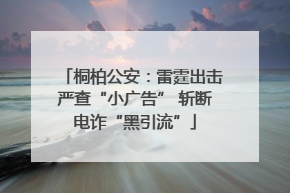桐柏公安：雷霆出击严查“小广告” 斩断电诈“黑引流”