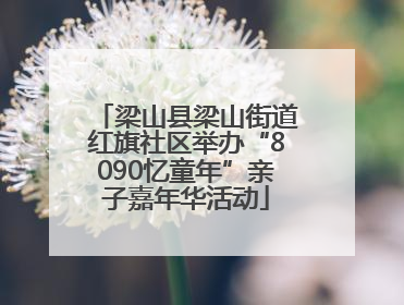 梁山县梁山街道红旗社区举办“8090忆童年”亲子嘉年华活动