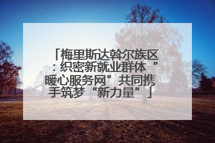 梅里斯达斡尔族区：织密新就业群体“暖心服务网”共同携手筑梦“新力量”