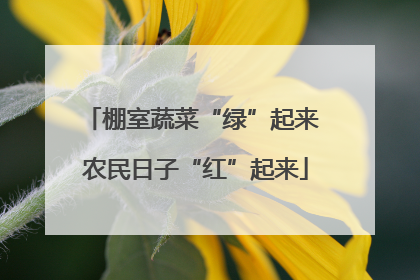 棚室蔬菜“绿”起来 农民日子“红”起来