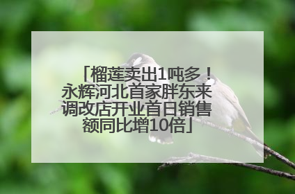 榴莲卖出1吨多！永辉河北首家胖东来调改店开业首日销售额同比增10倍