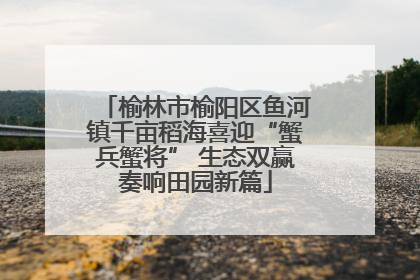 榆林市榆阳区鱼河镇千亩稻海喜迎“蟹兵蟹将” 生态双赢奏响田园新篇