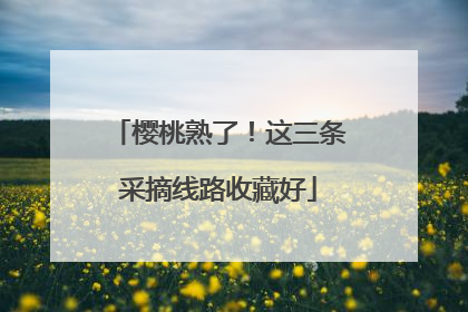 樱桃熟了！这三条采摘线路收藏好