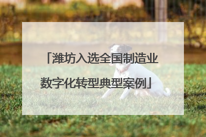 潍坊入选全国制造业数字化转型典型案例