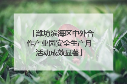 潍坊滨海区中外合作产业园安全生产月活动成效显著