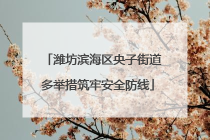 潍坊滨海区央子街道多举措筑牢安全防线