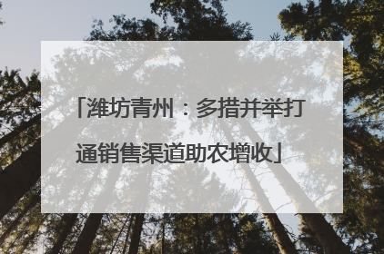 潍坊青州：多措并举打通销售渠道助农增收