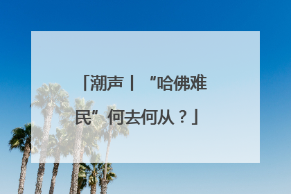 潮声丨“哈佛难民”何去何从？