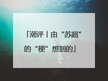 潮评丨由“苏超”的“梗”想到的