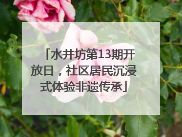 水井坊第13期开放日，社区居民沉浸式体验非遗传承