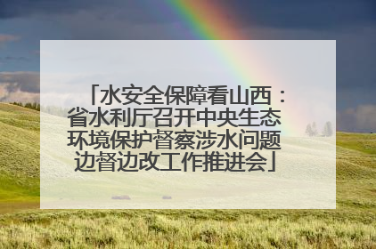 水安全保障看山西：省水利厅召开中央生态环境保护督察涉水问题边督边改工作推进会
