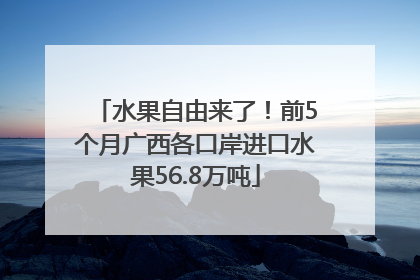 水果自由来了！前5个月广西各口岸进口水果56.8万吨