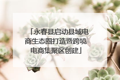 永春县启动县域电商生态圈打造暨跨境电商集聚区创建