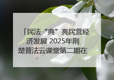民法“典”亮民营经济发展 2025年荆楚普法云课堂第二期在武汉客厅开讲