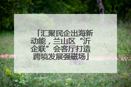 汇聚民企出海新动能，兰山区“沂企联”会客厅打造跨境发展强磁场