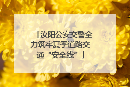 汝阳公安交警全力筑牢夏季道路交通“安全线”