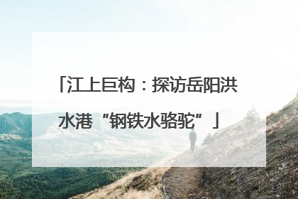 江上巨构：探访岳阳洪水港“钢铁水骆驼”