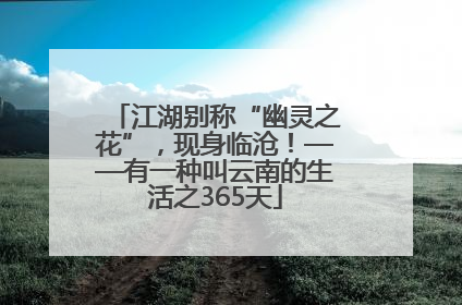 江湖别称“幽灵之花”，现身临沧！——有一种叫云南的生活之365天