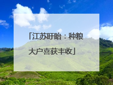 江苏盱眙：种粮大户喜获丰收
