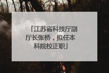 江苏省科技厅副厅长张桥，拟任本科院校正职