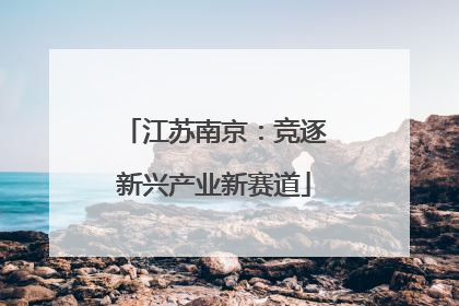 江苏南京：竞逐新兴产业新赛道