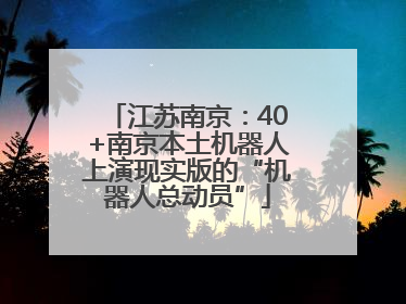 江苏南京：40+南京本土机器人上演现实版的“机器人总动员”