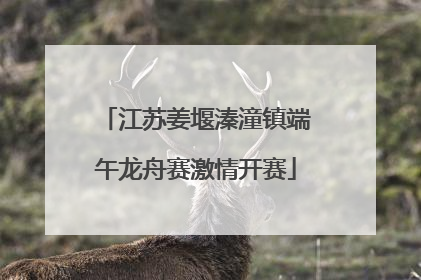 江苏姜堰溱潼镇端午龙舟赛激情开赛