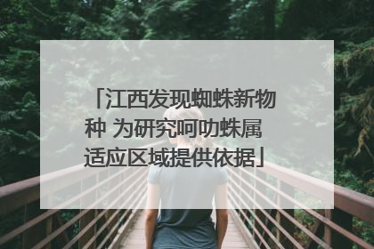 江西发现蜘蛛新物种 为研究呵叻蛛属适应区域提供依据
