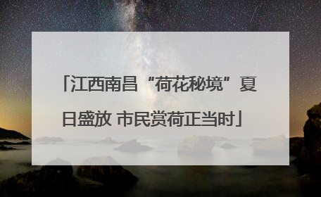 江西南昌“荷花秘境”夏日盛放 市民赏荷正当时