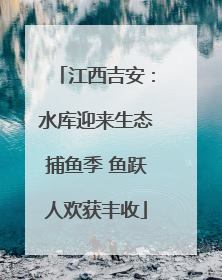 江西吉安：水库迎来生态捕鱼季 鱼跃人欢获丰收