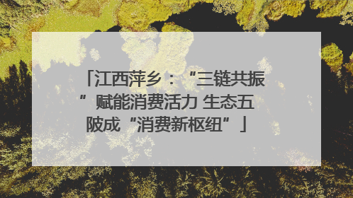 江西萍乡：“三链共振”赋能消费活力 生态五陂成“消费新枢纽”