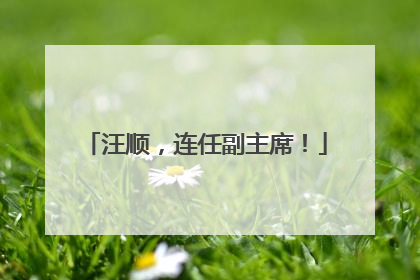 汪顺，连任副主席！
