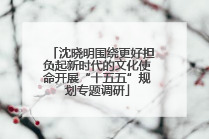 沈晓明围绕更好担负起新时代的文化使命开展“十五五”规划专题调研