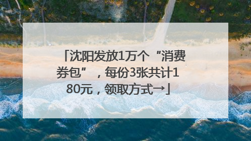沈阳发放1万个“消费券包”，每份3张共计180元，领取方式→