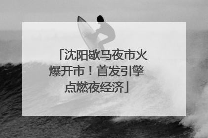 沈阳歇马夜市火爆开市！首发引擎点燃夜经济