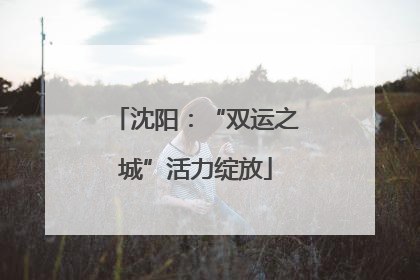 沈阳：“双运之城”活力绽放