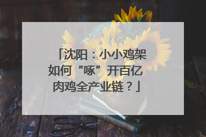 沈阳：小小鸡架如何“啄”开百亿肉鸡全产业链？