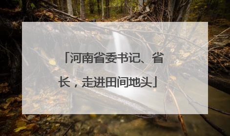 河南省委书记、省长，走进田间地头